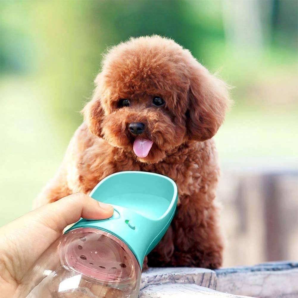 Portable Pet Water Bottle Travel & Outdoors Color : Turquoise |White Portable Pet Water Bottle Travel & Outdoors Color : Turquoise |White