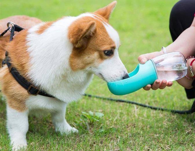 Portable Pet Water Bottle Travel & Outdoors Color : Turquoise |White Portable Pet Water Bottle Travel & Outdoors Color : Turquoise |White